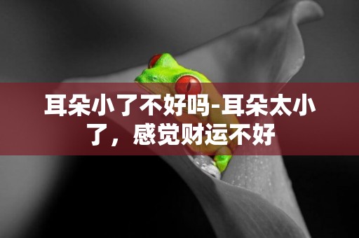耳朵小了不好嗎-耳朵太小了，感覺財運不好