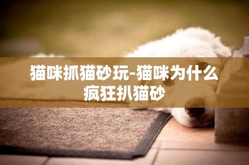 貓咪抓貓砂玩-貓咪為什么瘋狂扒貓砂