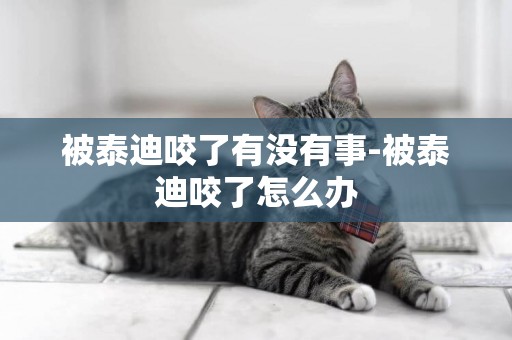 被泰迪咬了有沒有事-被泰迪咬了怎么辦
