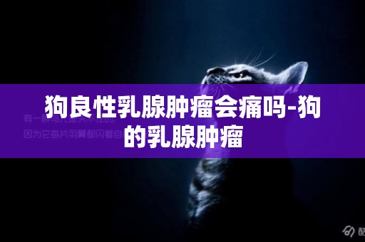 狗良性乳腺腫瘤會痛嗎-狗的乳腺腫瘤