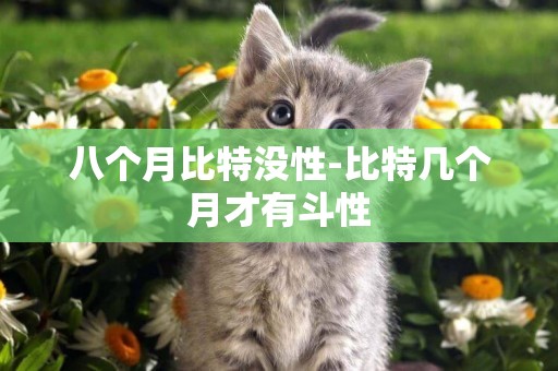 八個月比特沒性-比特幾個月才有斗性