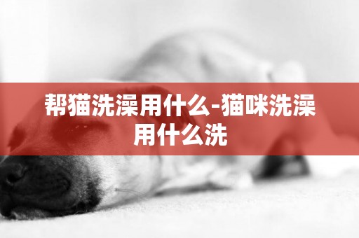 幫貓洗澡用什么-貓咪洗澡用什么洗