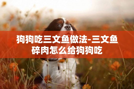 狗狗吃三文魚做法-三文魚碎肉怎么給狗狗吃
