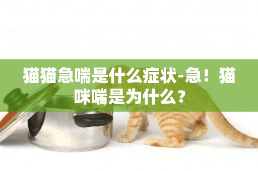 貓貓急喘是什么癥狀-急！貓咪喘是為什么？
