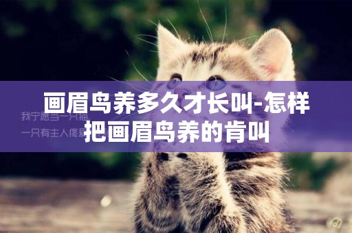 畫眉鳥養多久才長叫-怎樣把畫眉鳥養的肯叫