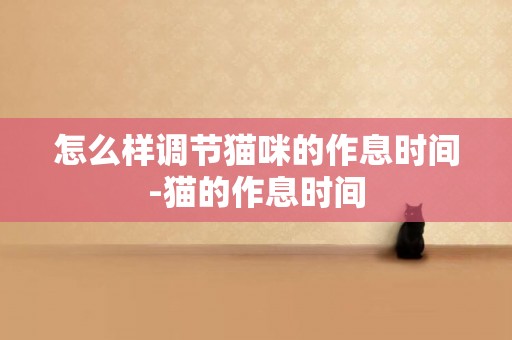 怎么樣調節貓咪的作息時間-貓的作息時間