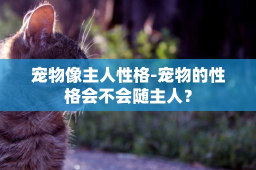寵物像主人性格-寵物的性格會不會隨主人？
