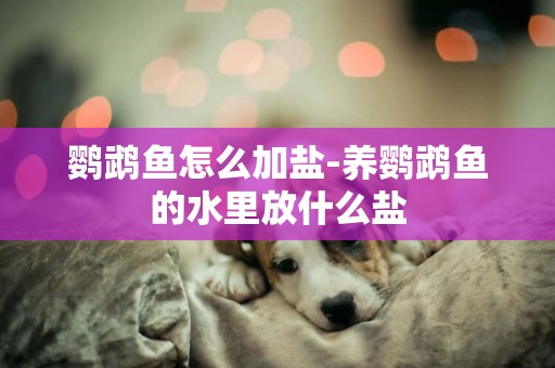 鸚鵡魚怎么加鹽-養鸚鵡魚的水里放什么鹽