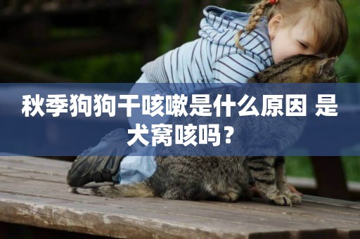 秋季狗狗干咳嗽是什么原因 是犬窩咳嗎？