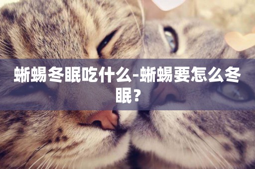 蜥蜴冬眠吃什么-蜥蜴要怎么冬眠？