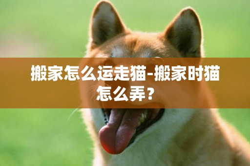搬家怎么運走貓-搬家時貓怎么弄？
