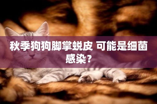 秋季狗狗腳掌蛻皮 可能是細菌感染？