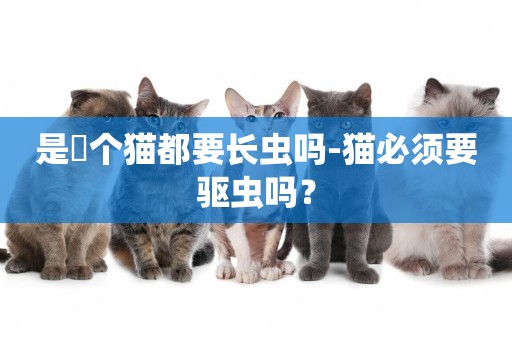 是毎個貓都要長蟲嗎-貓必須要驅蟲嗎？