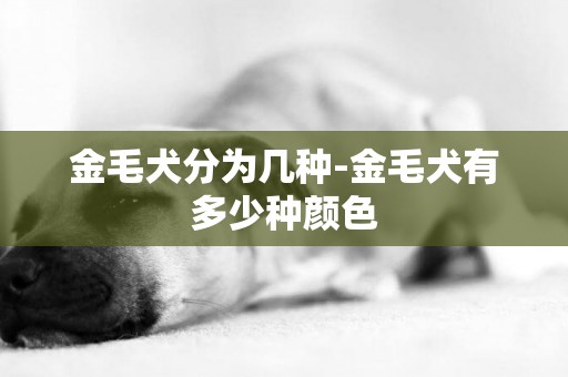 金毛犬分為幾種-金毛犬有多少種顏色