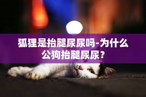 狐貍是抬腿尿尿嗎-為什么公狗抬腿尿尿？