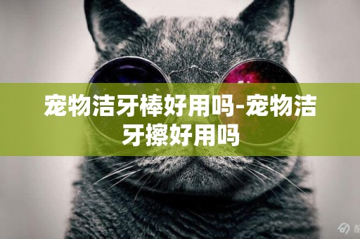 寵物潔牙棒好用嗎-寵物潔牙擦好用嗎