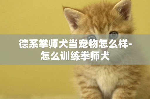 德系拳師犬當寵物怎么樣-怎么訓練拳師犬