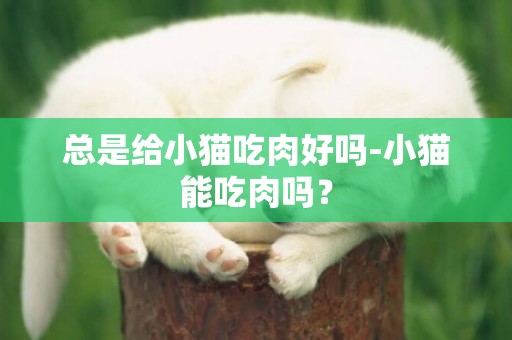 總是給小貓吃肉好嗎-小貓能吃肉嗎？