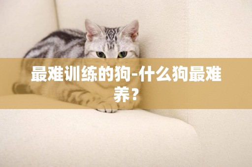 最難訓練的狗-什么狗最難養？