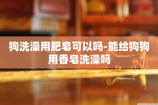 狗洗澡用肥皂可以嗎-能給狗狗用香皂洗澡嗎