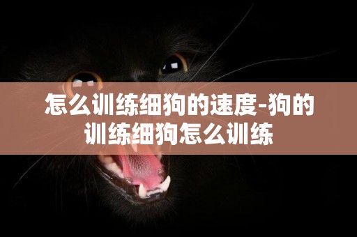 怎么訓練細狗的速度-狗的訓練細狗怎么訓練