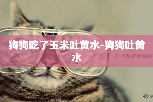 狗狗吃了玉米吐黃水-狗狗吐黃水
