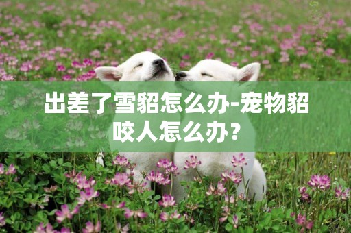 出差了雪貂怎么辦-寵物貂咬人怎么辦？