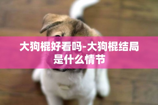大狗棍好看嗎-大狗棍結局是什么情節
