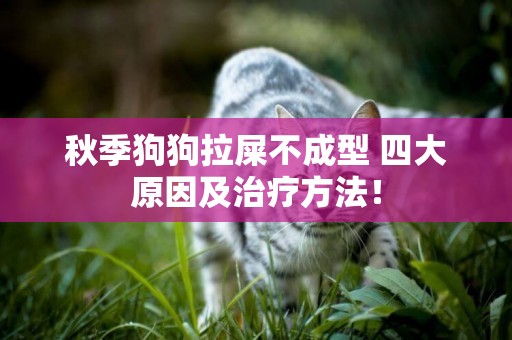 秋季狗狗拉屎不成型 四大原因及治療方法！