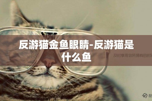 反游貓金魚眼睛-反游貓是什么魚