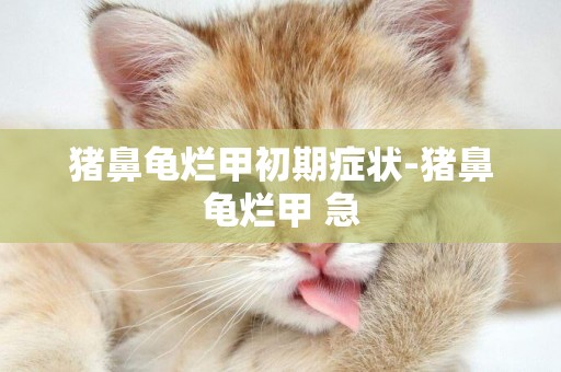 豬鼻龜爛甲初期癥狀-豬鼻龜爛甲 急