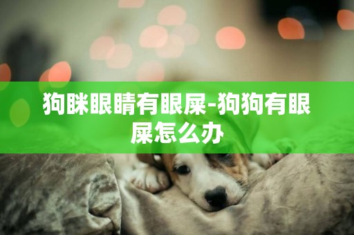 狗瞇眼睛有眼屎-狗狗有眼屎怎么辦