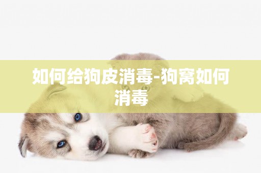 如何給狗皮消毒-狗窩如何消毒