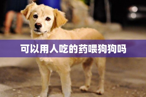 可以用人吃的藥喂狗狗嗎
