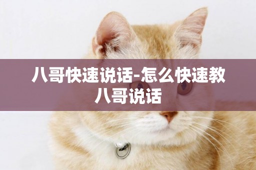八哥快速說話-怎么快速教八哥說話