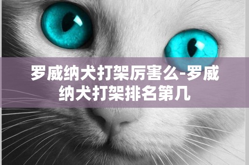 羅威納犬打架厲害么-羅威納犬打架排名第幾