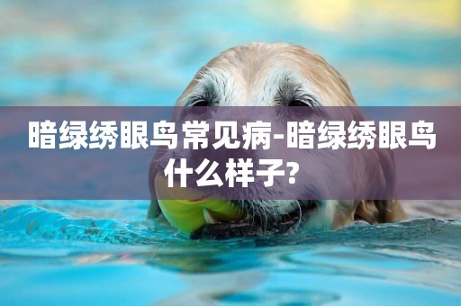 暗綠繡眼鳥常見病-暗綠繡眼鳥什么樣子?