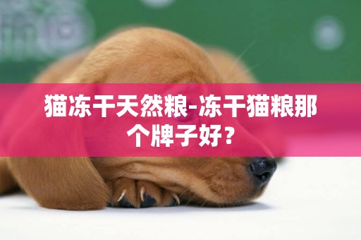 貓凍干天然糧-凍干貓糧那個牌子好？