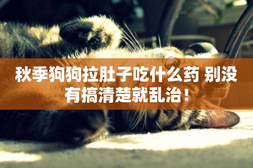 秋季狗狗拉肚子吃什么藥 別沒有搞清楚就亂治！