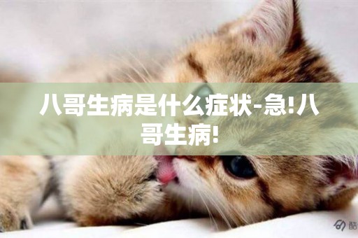 八哥生病是什么癥狀-急!八哥生病!