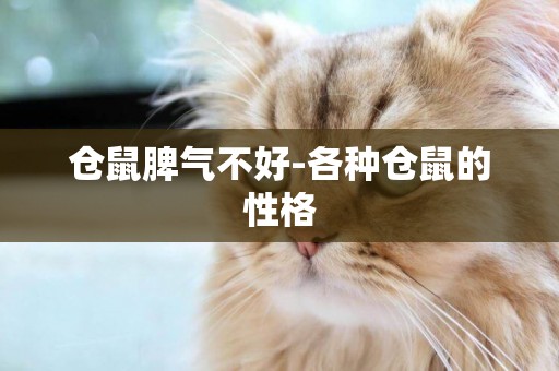 倉鼠脾氣不好-各種倉鼠的性格