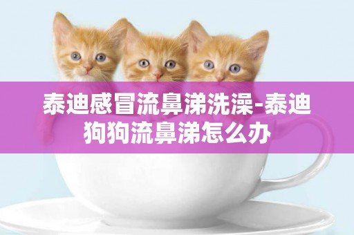 泰迪感冒流鼻涕洗澡-泰迪狗狗流鼻涕怎么辦