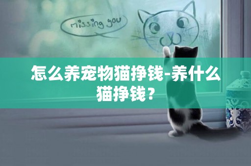 怎么養寵物貓掙錢-養什么貓掙錢？