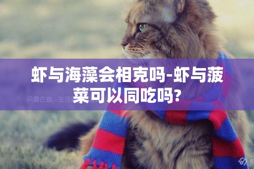 蝦與海藻會相克嗎-蝦與菠菜可以同吃嗎?