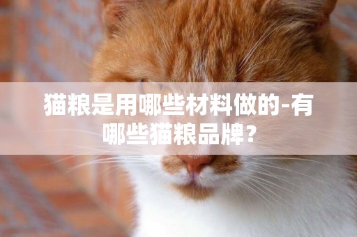 貓糧是用哪些材料做的-有哪些貓糧品牌？