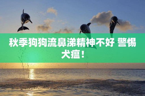 秋季狗狗流鼻涕精神不好 警惕犬瘟！
