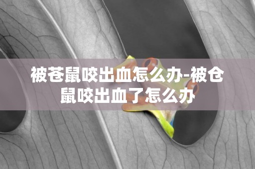 被蒼鼠咬出血怎么辦-被倉鼠咬出血了怎么辦