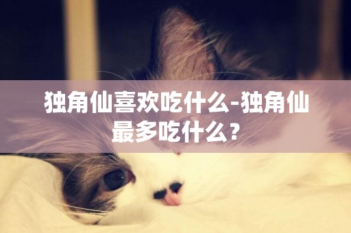 獨角仙喜歡吃什么-獨角仙最多吃什么？