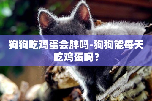 狗狗吃雞蛋會胖嗎-狗狗能每天吃雞蛋嗎？