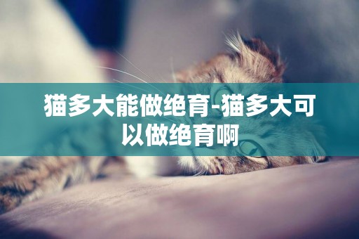 貓多大能做絕育-貓多大可以做絕育啊